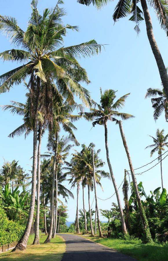 Tamu Seseh Villa Canggu Kültér fotó