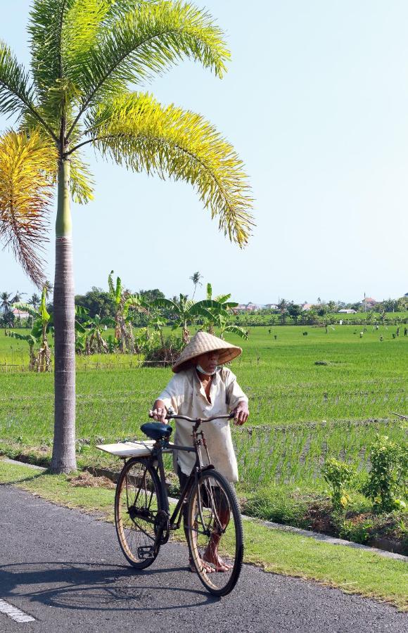Tamu Seseh Villa Canggu Kültér fotó