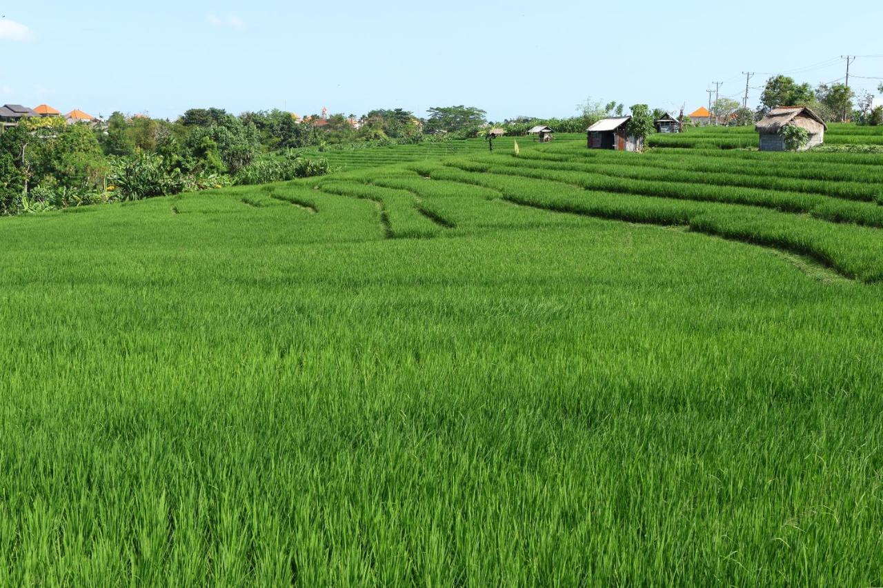 Tamu Seseh Villa Canggu Kültér fotó