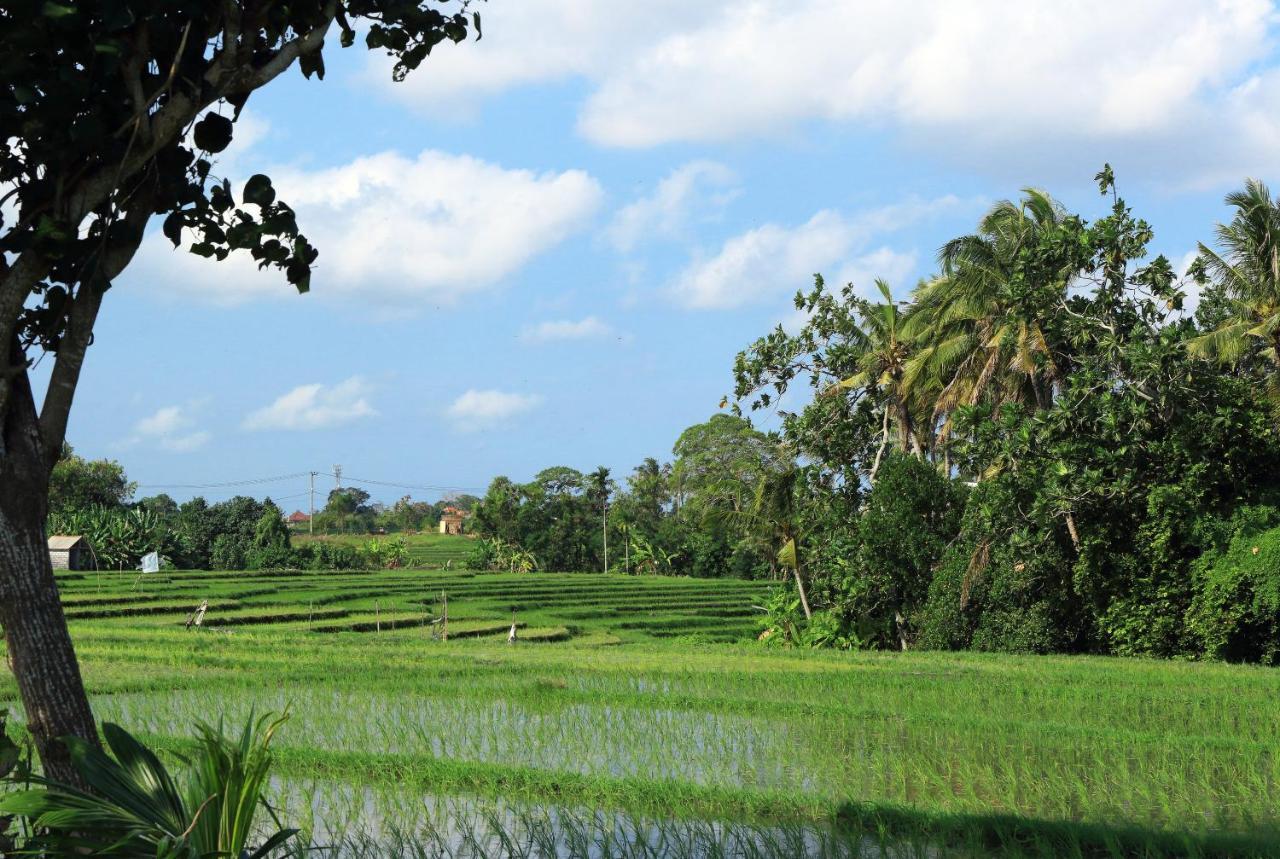 Tamu Seseh Villa Canggu Kültér fotó